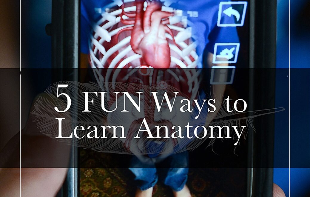 fun-ways-to-learn-the-human-body