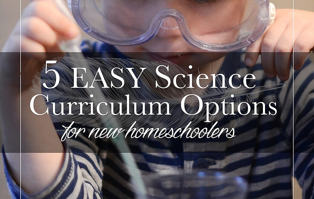 easy-curriculum-options-for-homeschoolers